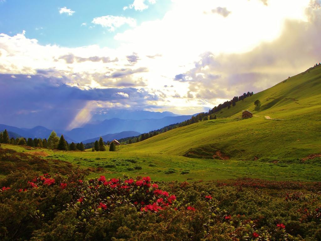 Berghotel Jochgrimm - Your Dolomites Home Варена Экстерьер фото